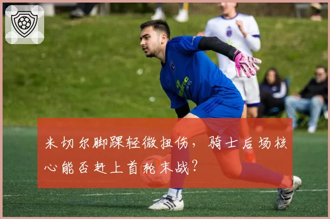 米切尔脚踝轻微扭伤，骑士后场核心能否赶上首轮末战？