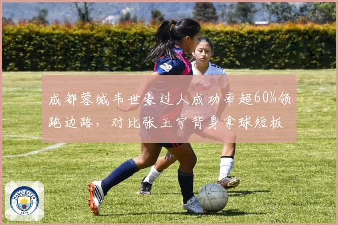 成都蓉城韦世豪过人成功率超60%领跑边路,对比张玉宁背身拿球短板明显